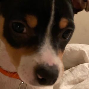 Meet your Posher, Cheryl